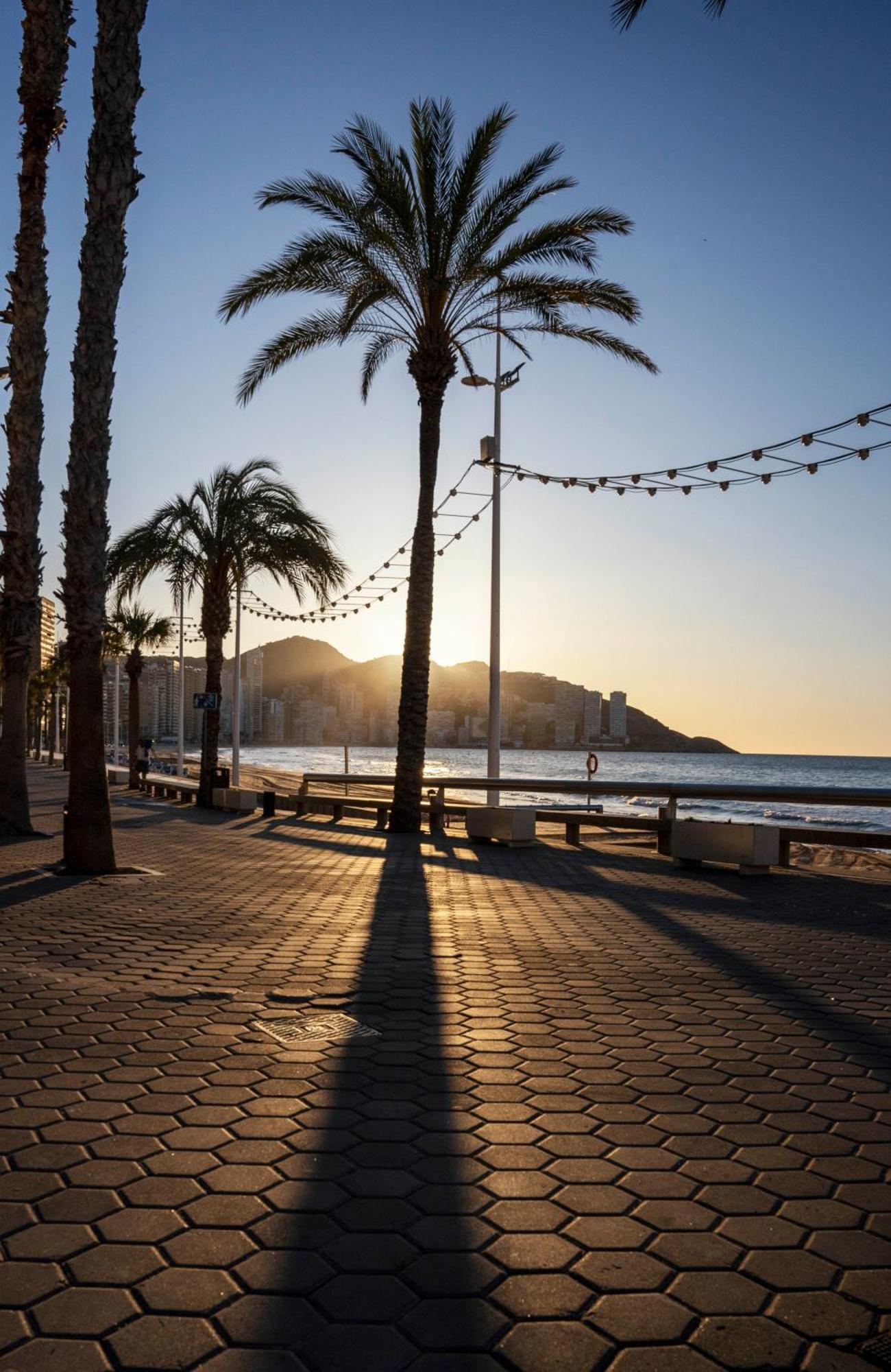 Las Palmeras 15D Daire Benidorm Dış mekan fotoğraf