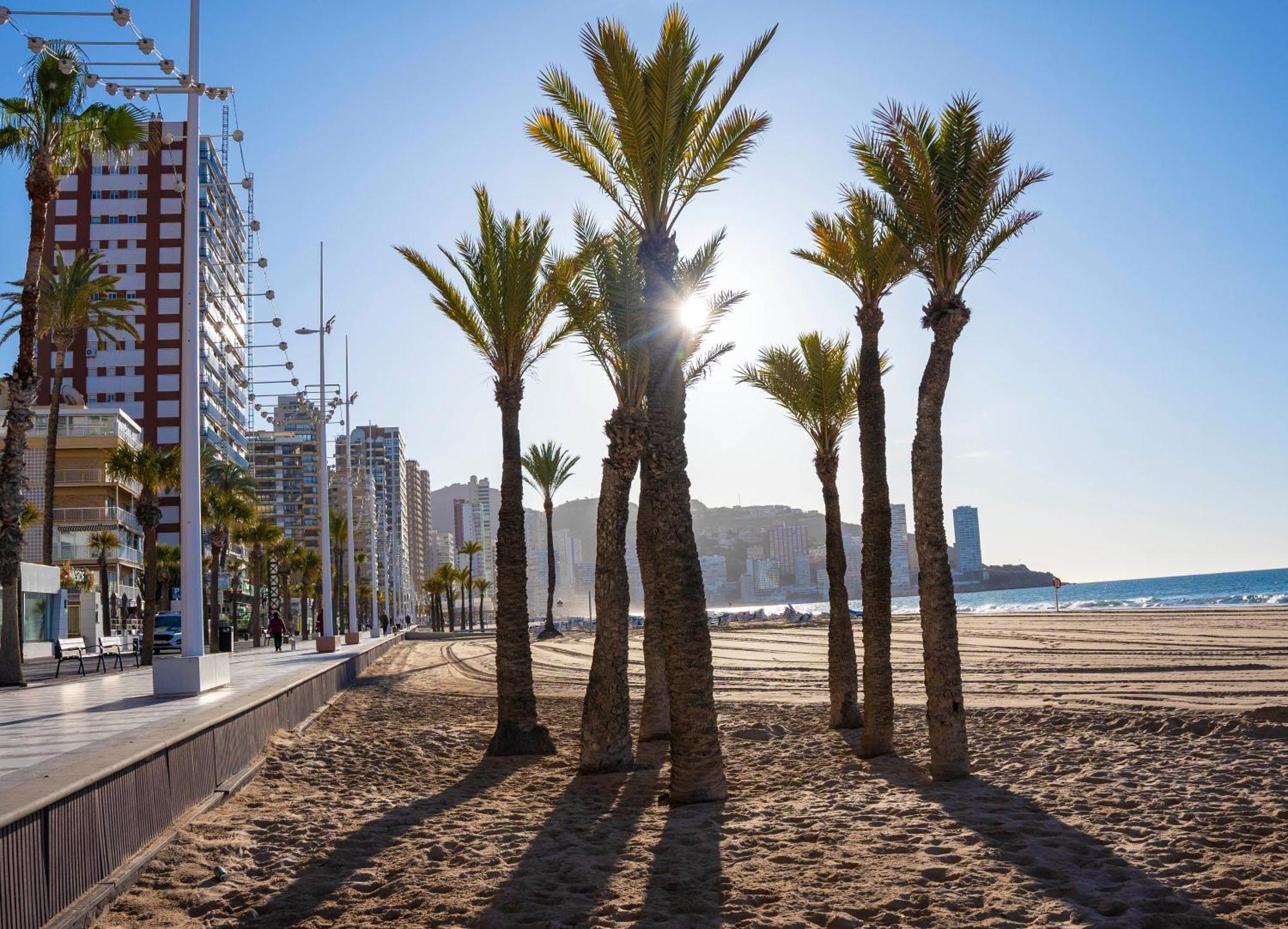 Las Palmeras 15D Daire Benidorm Dış mekan fotoğraf