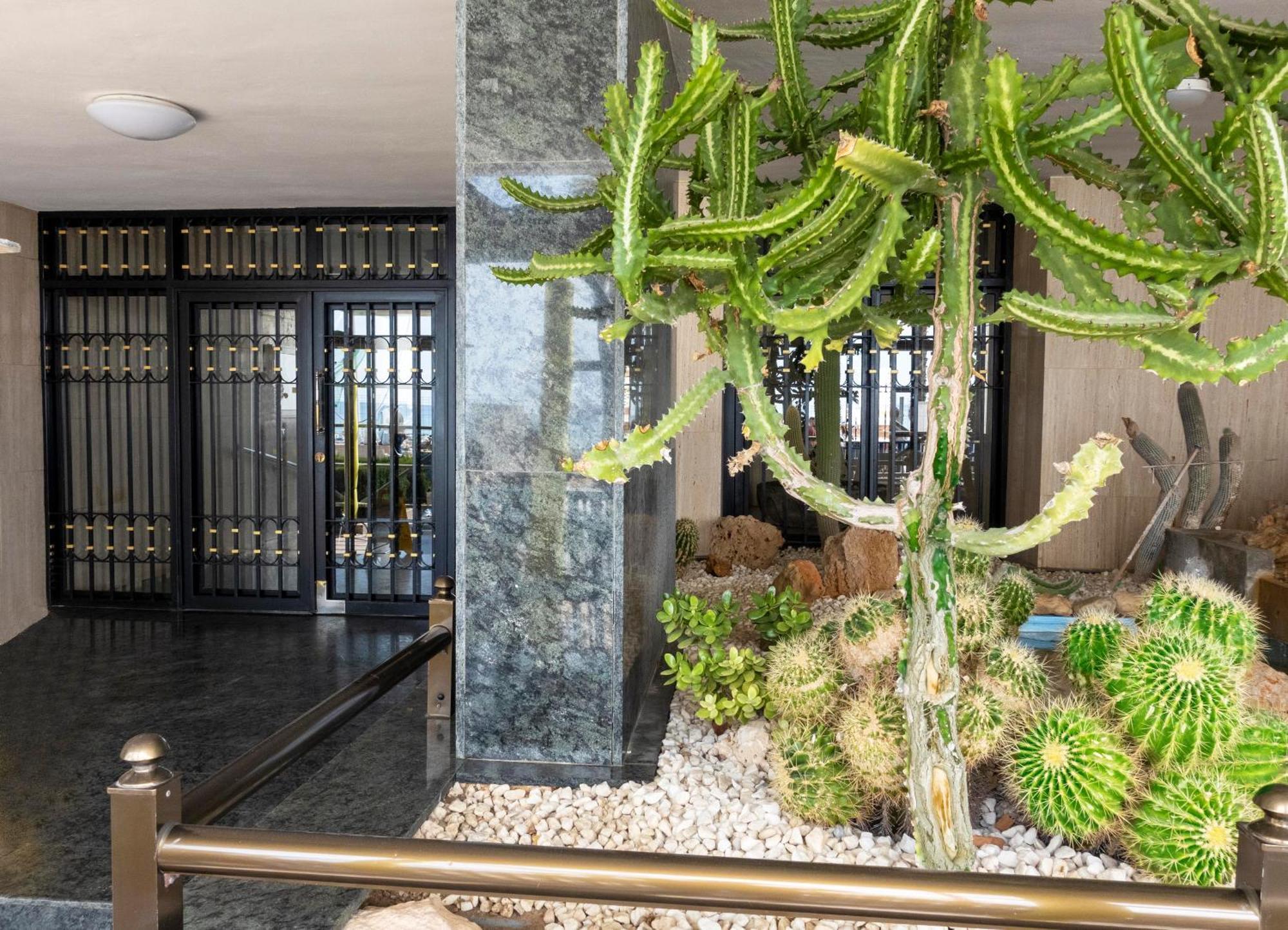 Las Palmeras 15D Daire Benidorm Dış mekan fotoğraf